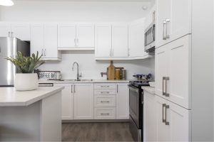 Wellings of Brooks Two-Bedroom Zodiac Kitchen