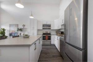 Wellings of Brooks One-Bedroom Stargazer Kitchen