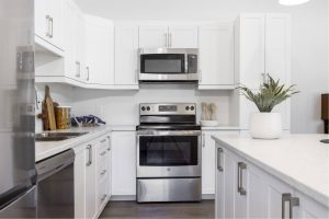 Wellings of Brooks Two-Bedroom Zodiac Kitchen